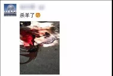 微信圖片_20201019134651.jpg 微信圖片_20201019134651.jpg